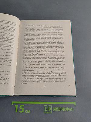 Юность разбойника