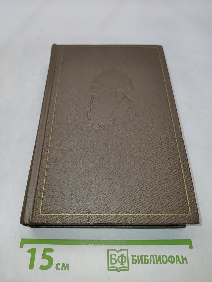 Собрание сочинений. Том девятнадцатый. Дневники 1847-1894 гг.