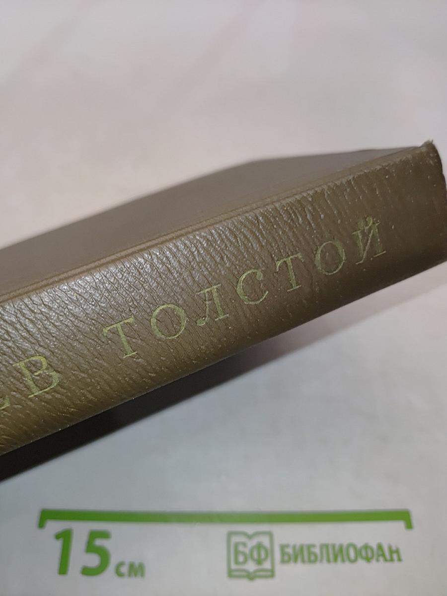 Собрание сочинений. Том девятнадцатый. Дневники 1847-1894 гг.