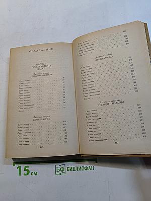 Слово и дело. Том 1. Царица престрашного зраку