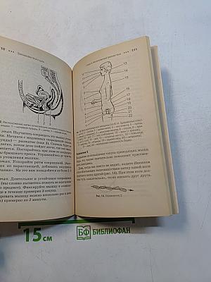 Тренировка тела и духа