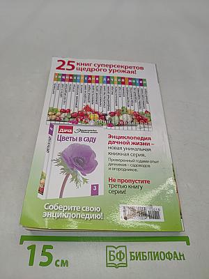 Зелень