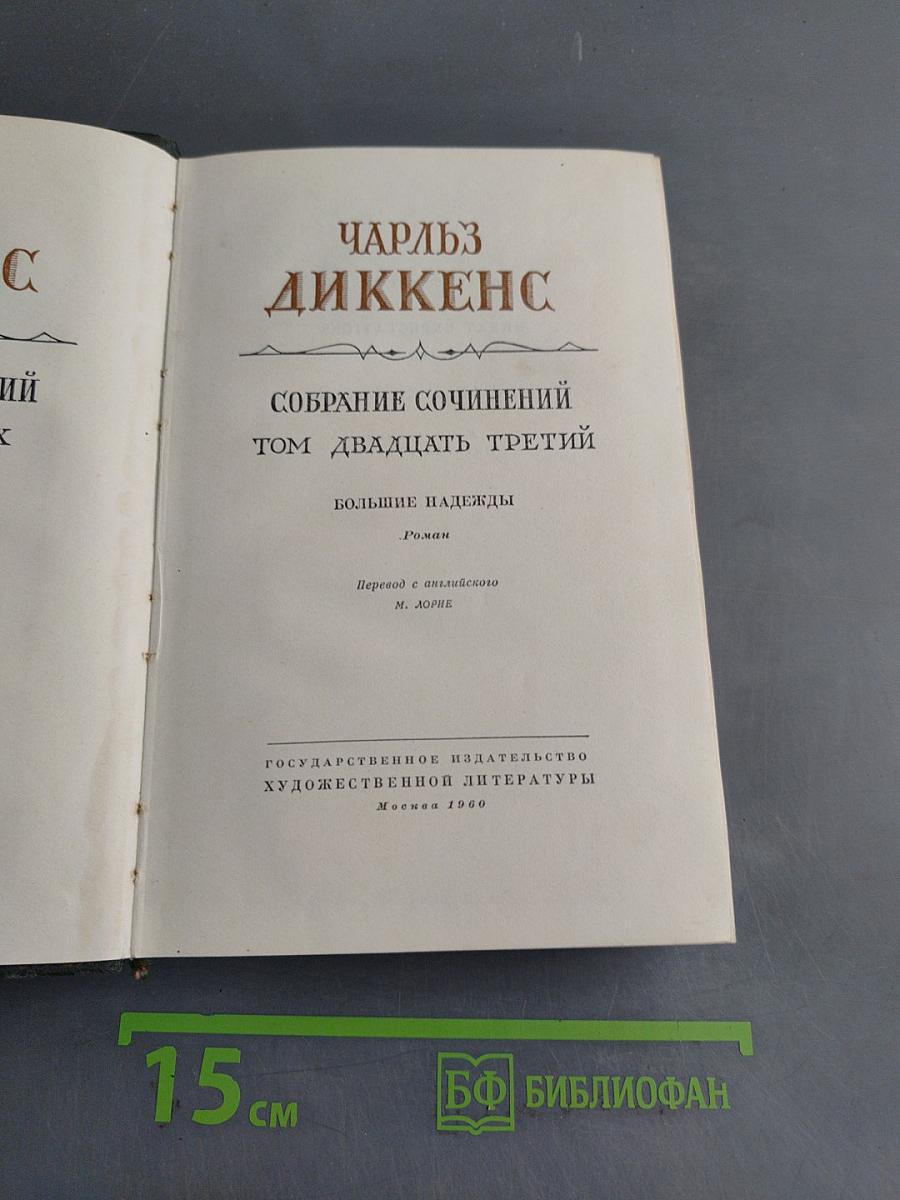 Собрание сочинений. Том двадцать третий. Большие надежды