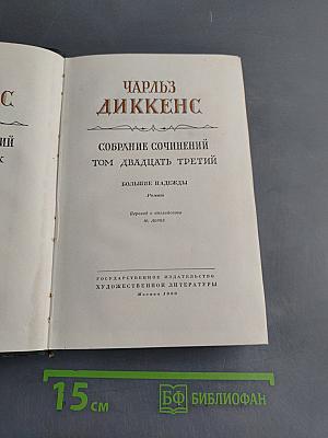 Собрание сочинений. Том двадцать третий. Большие надежды