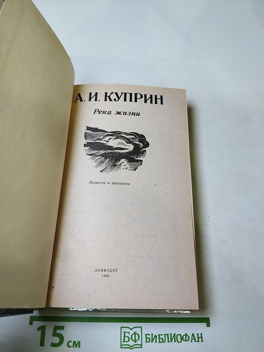 Река жизни: Повести и рассказы