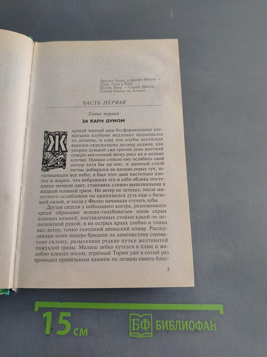 Чёрное копье. Книга вторая