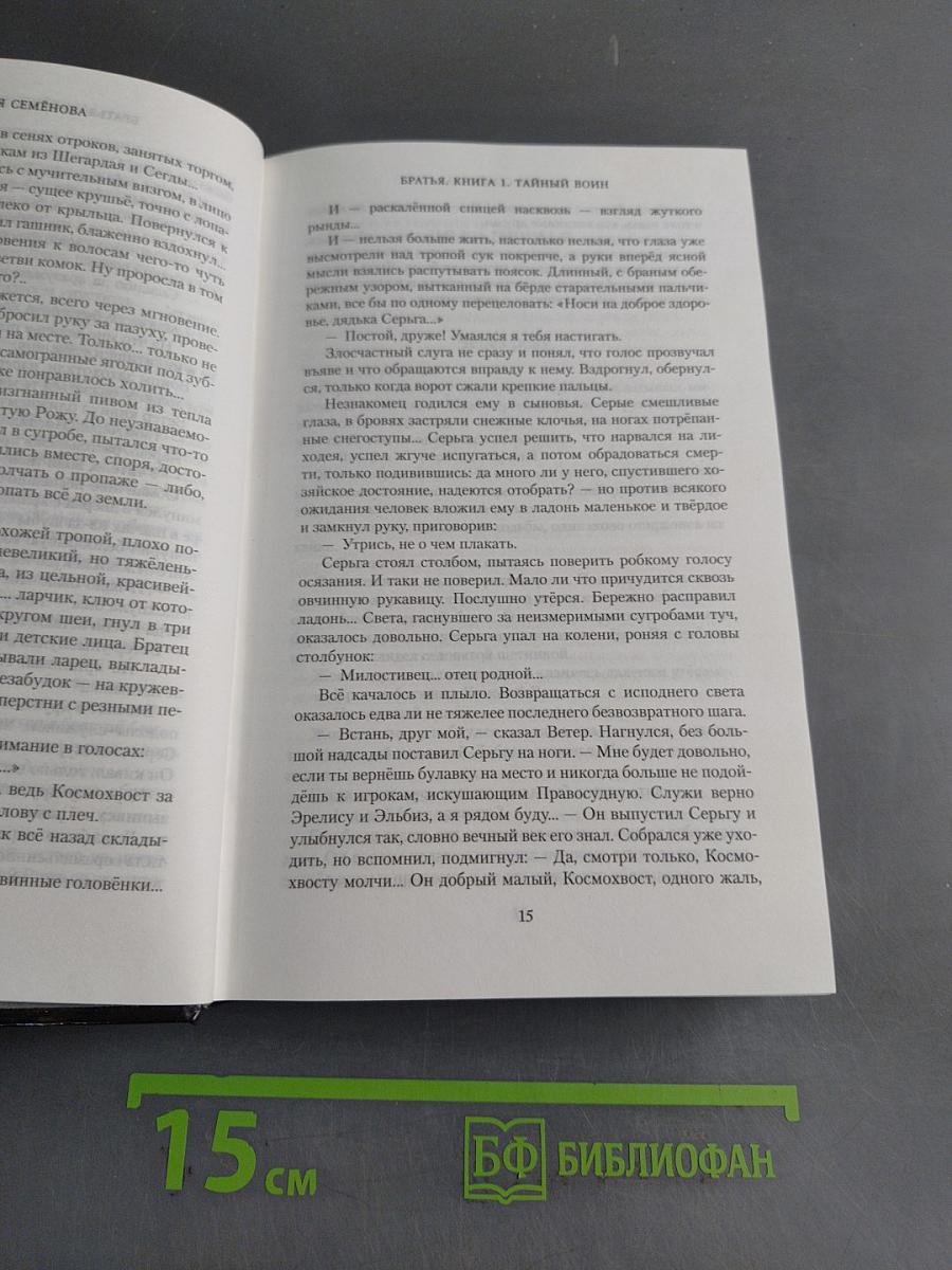 Братья. Книга 1. Тайный воин