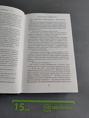 Братья. Книга 1. Тайный воин