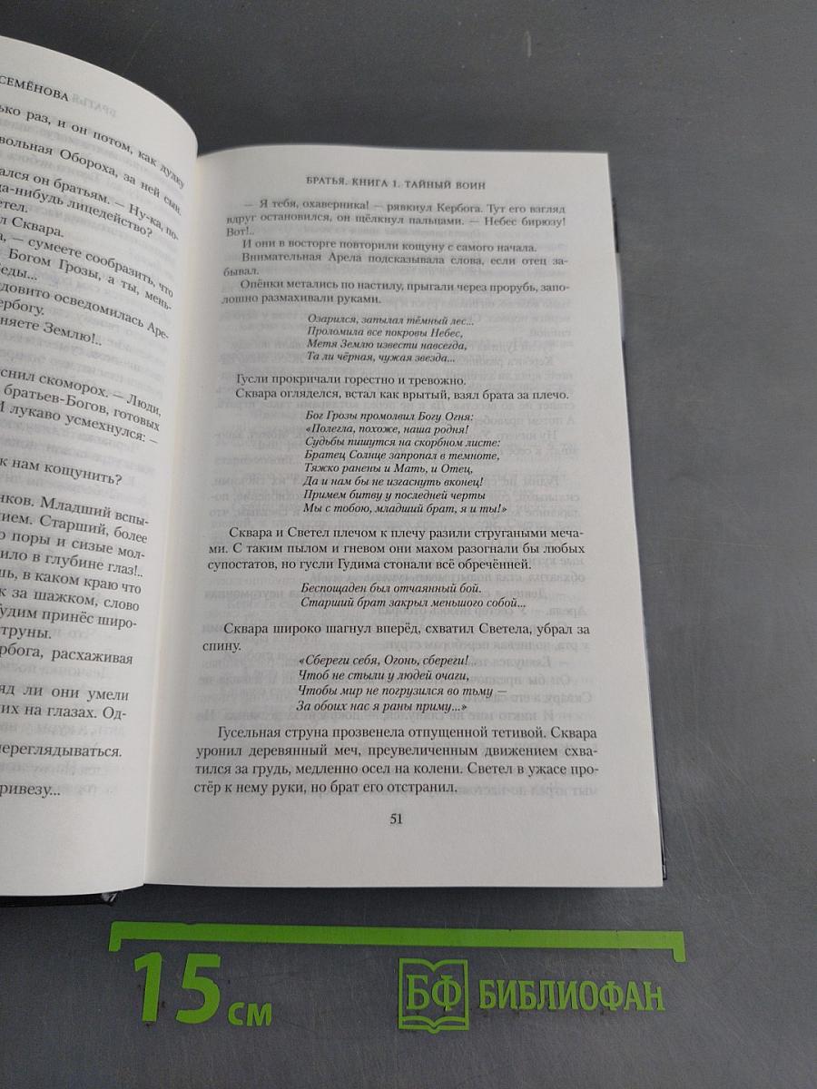 Братья. Книга 1. Тайный воин