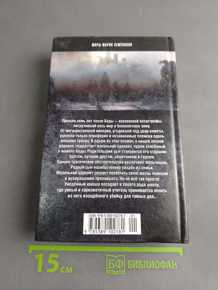 Братья. Книга 1. Тайный воин
