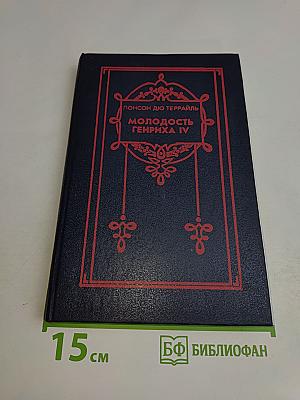 Молодость Генриха IV. Том 5