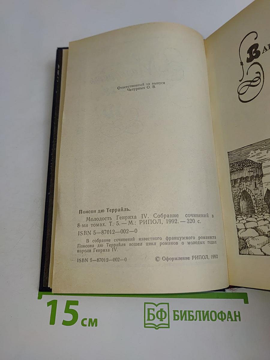 Молодость Генриха IV. Том 5