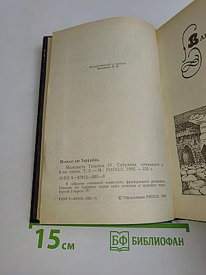 Молодость Генриха IV. Том 5