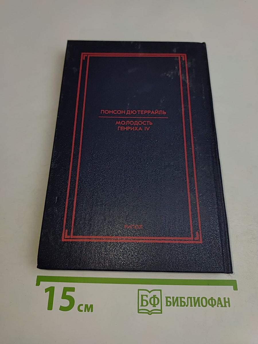Молодость Генриха IV. Том 5