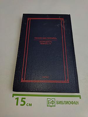 Молодость Генриха IV. Том 5