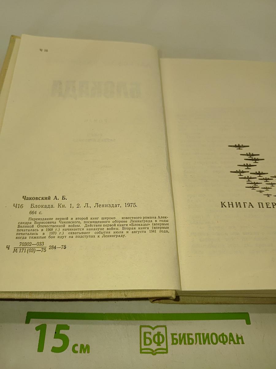 Блокада. Книги первая и вторая