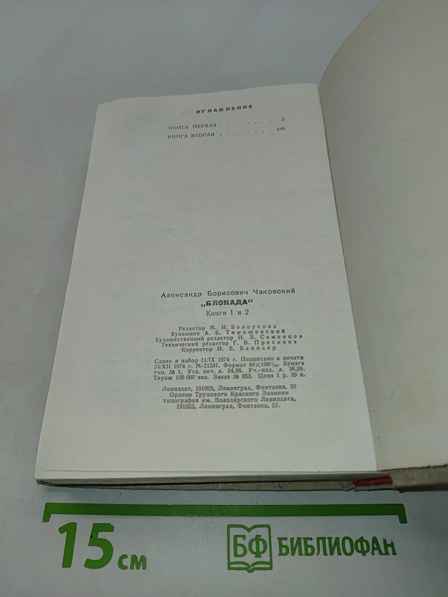 Блокада. Книги первая и вторая