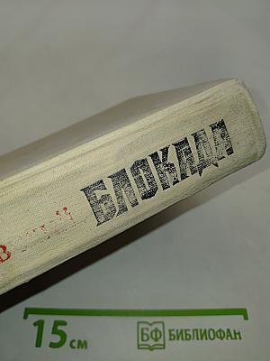 Блокада. Книги первая и вторая