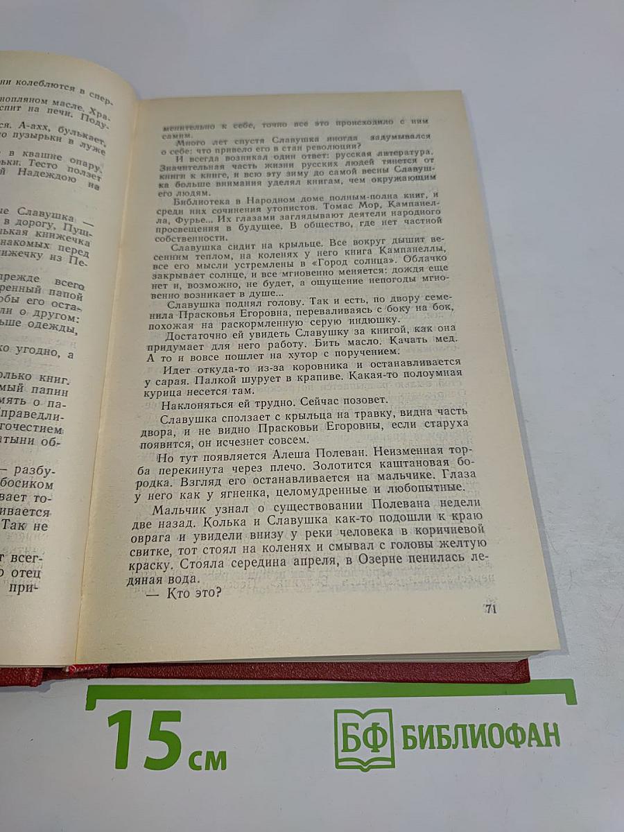 Двадцатые годы. Том третий