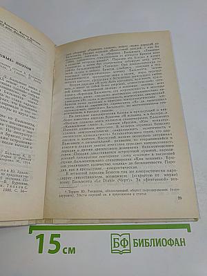 Константин Бальмонт, Марина Цветаева и художественные искания XX века