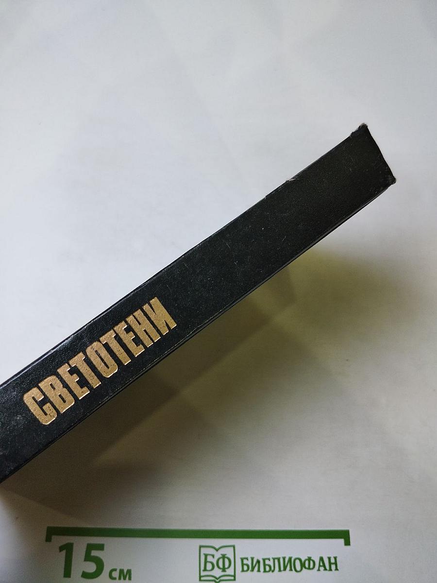 Светотени: Политический детектив