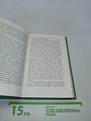 Вам, туристы!