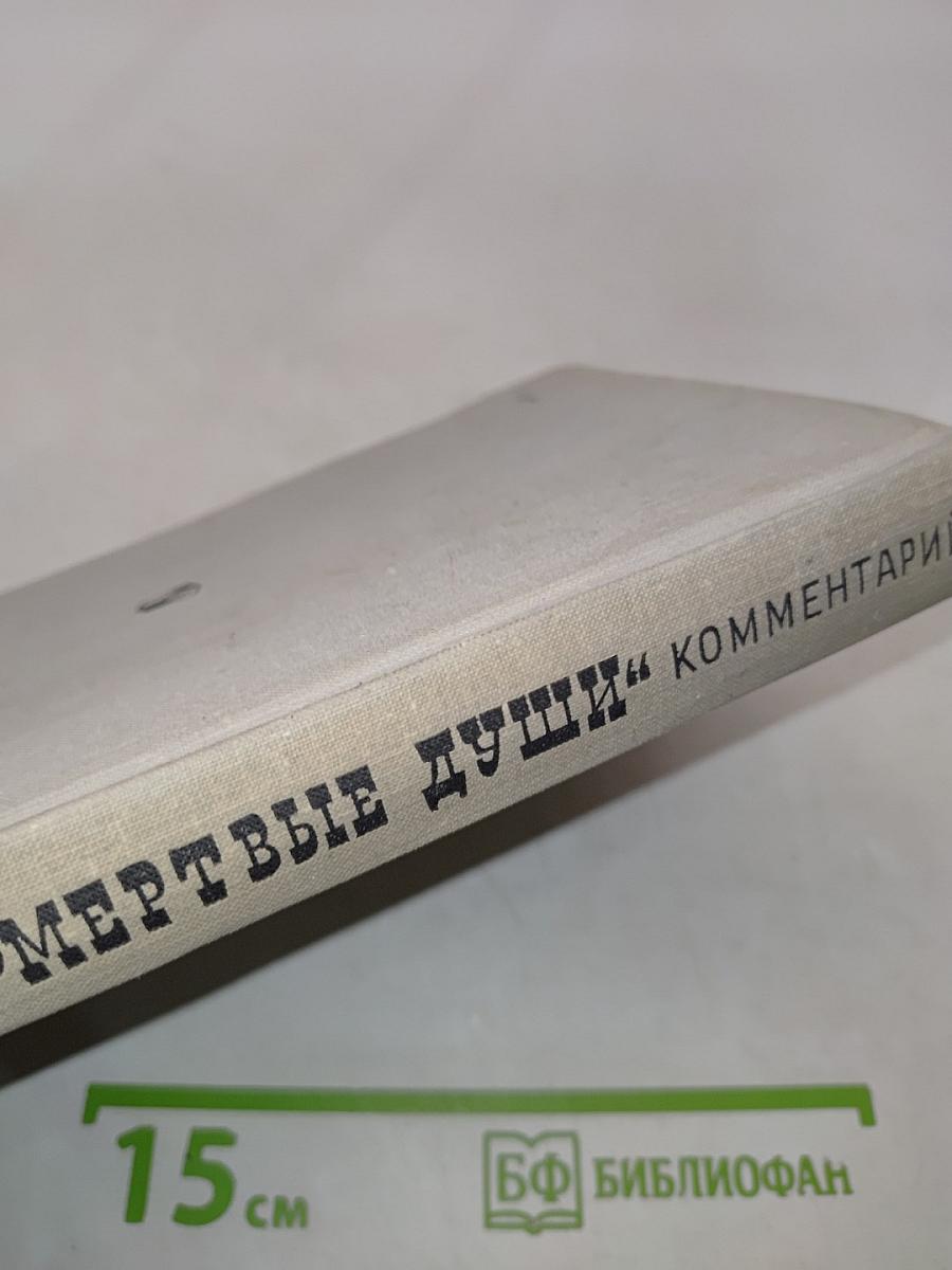 Мертвые души. Комментарий