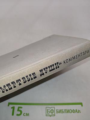 Мертвые души. Комментарий