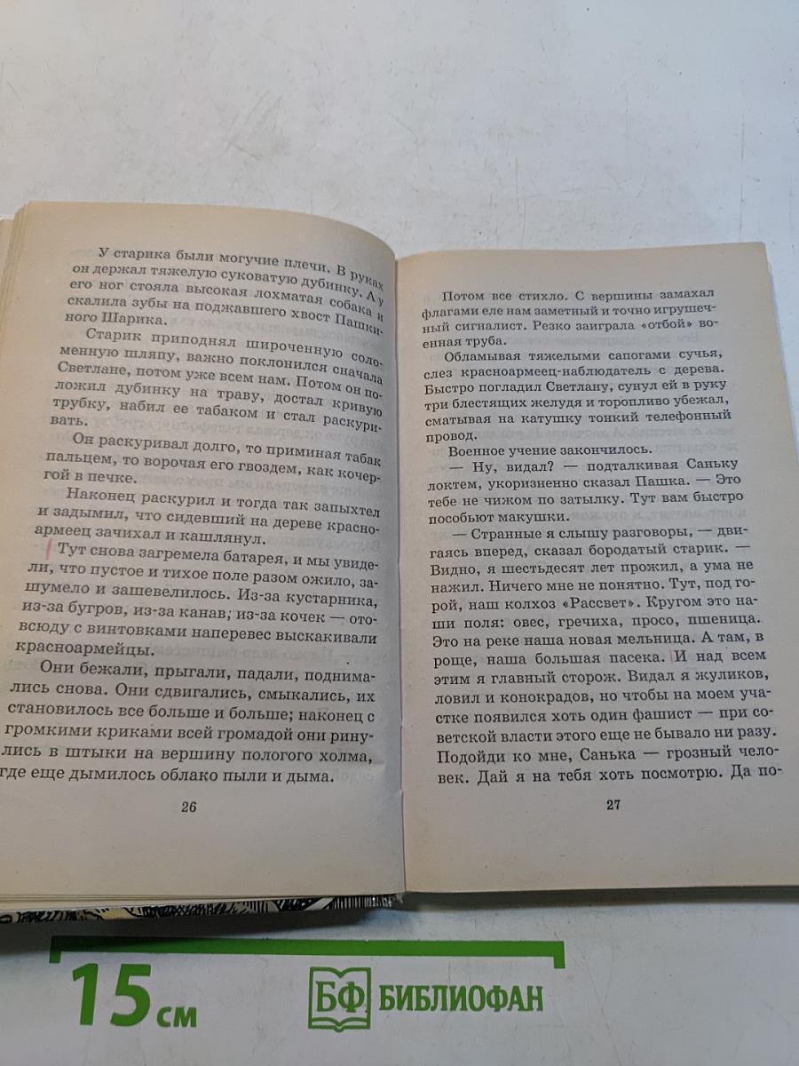 Тимур и его команда