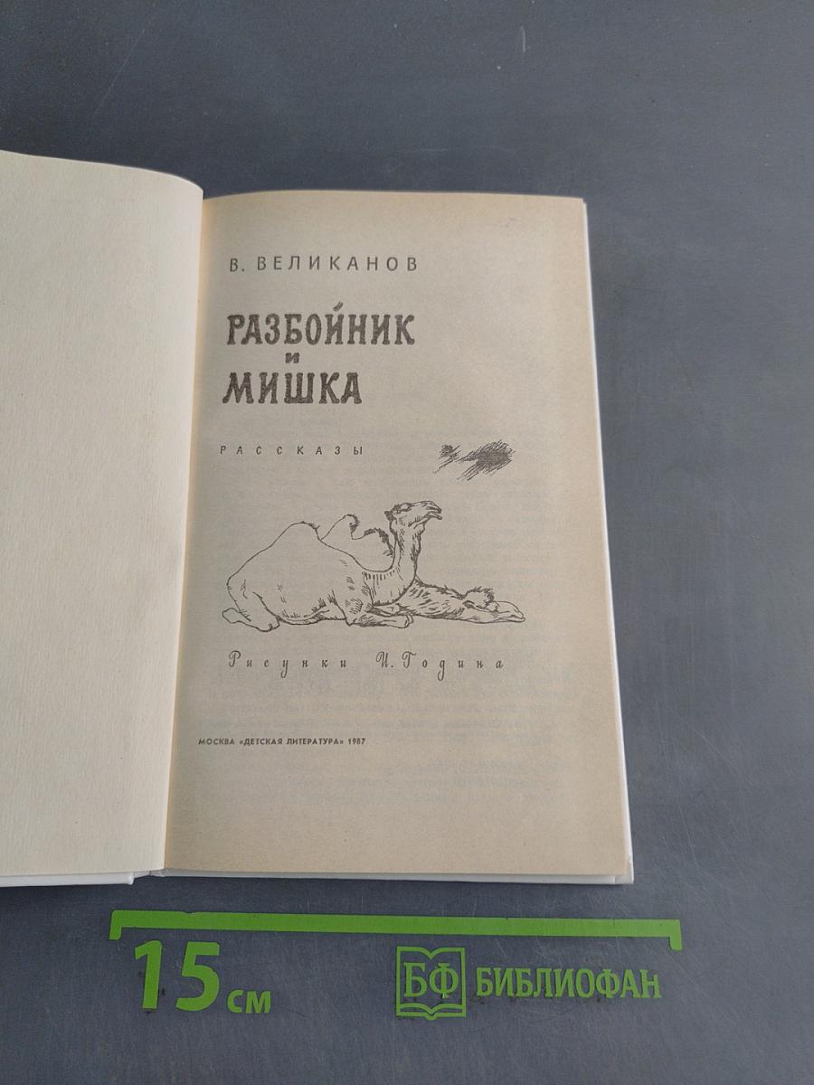 Разбойник и Мишка