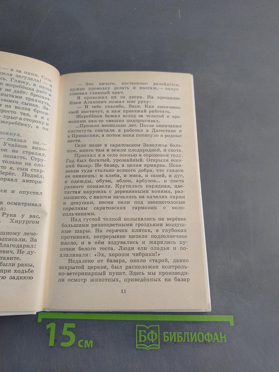 Разбойник и Мишка