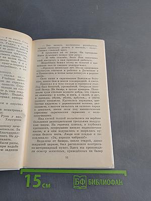 Разбойник и Мишка