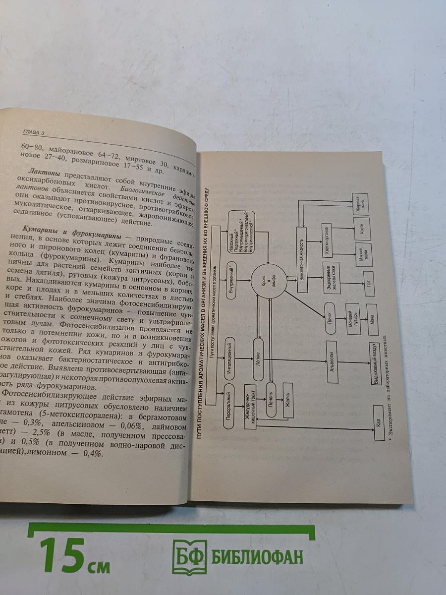 Ароматерапия для начинающих