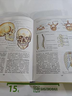 Биология. Человек 9 класс