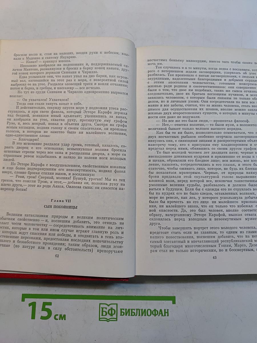 Собрание сочинений. Том одиннадцатый. Луиза Сан-Феличе
