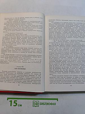 Собрание сочинений. Том одиннадцатый. Луиза Сан-Феличе