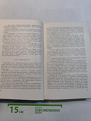 Собрание сочинений. Том первый. Амур-батюшка. Роман
