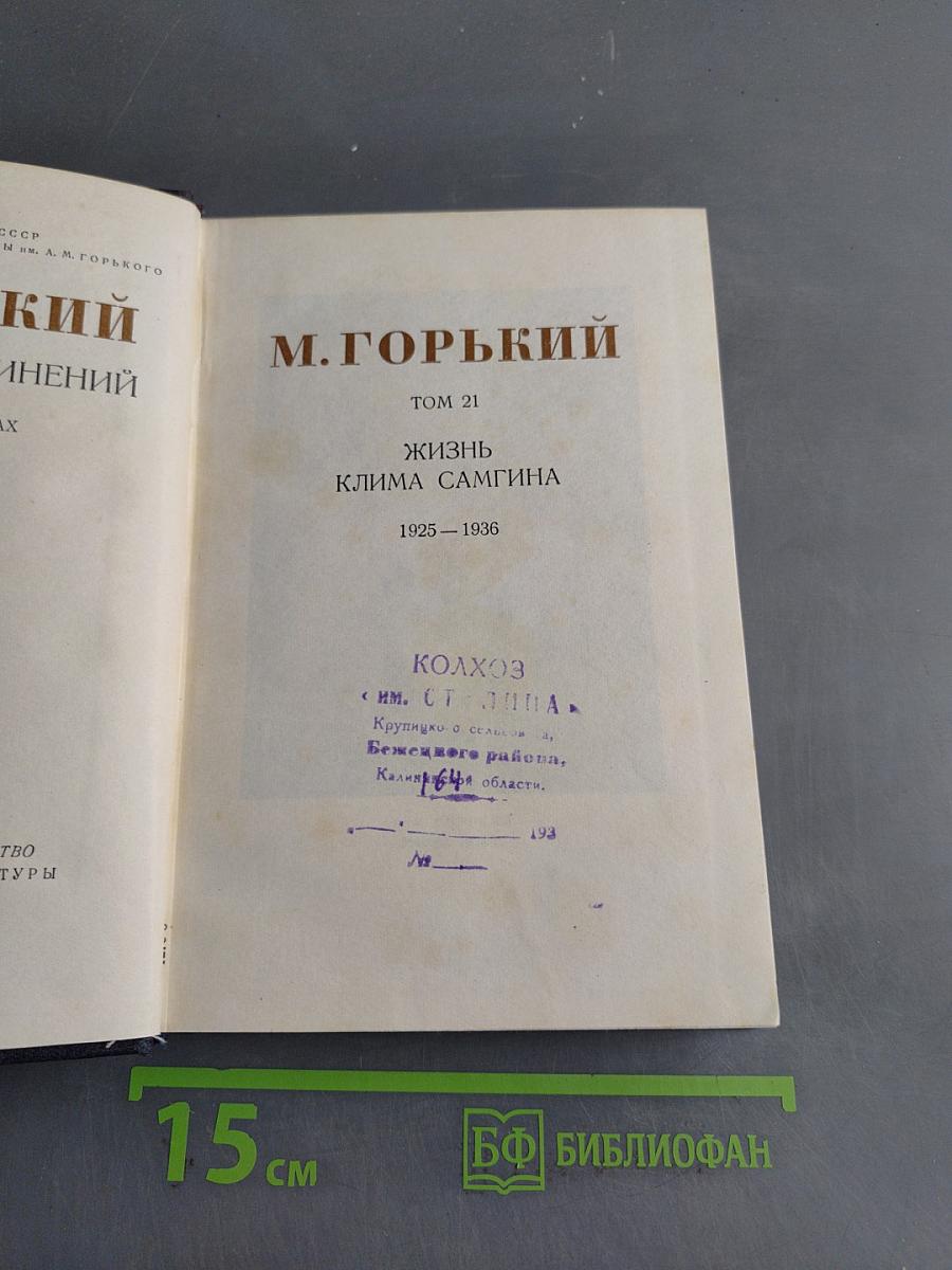 Жизнь Клима Самгина. Том 21