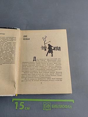 Гильзы в золе