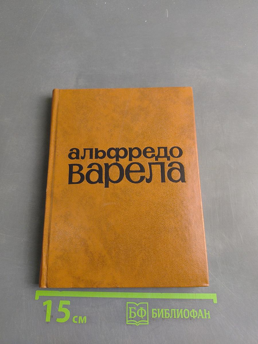 Стихи