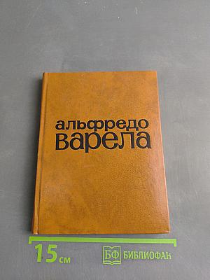 Стихи
