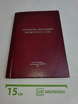 Проблемы механики жидкости и газа