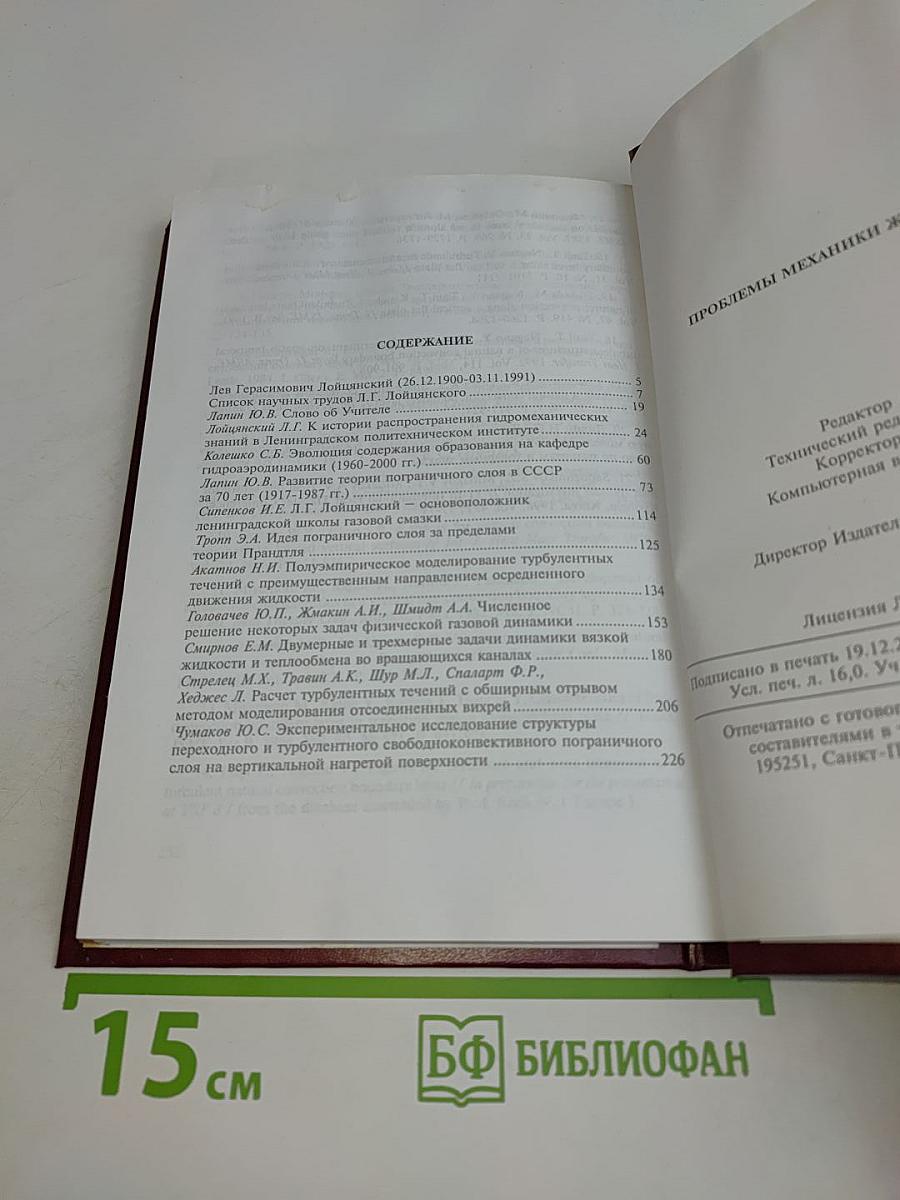 Проблемы механики жидкости и газа