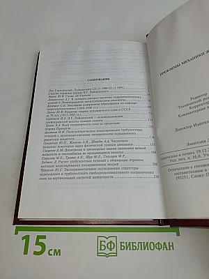 Проблемы механики жидкости и газа