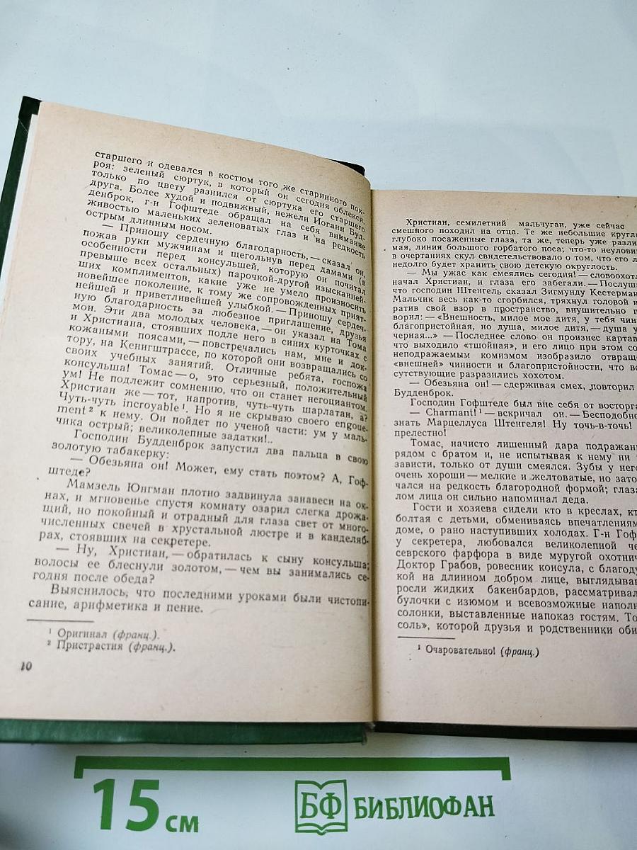 Будденброки: История гибели одного семейства