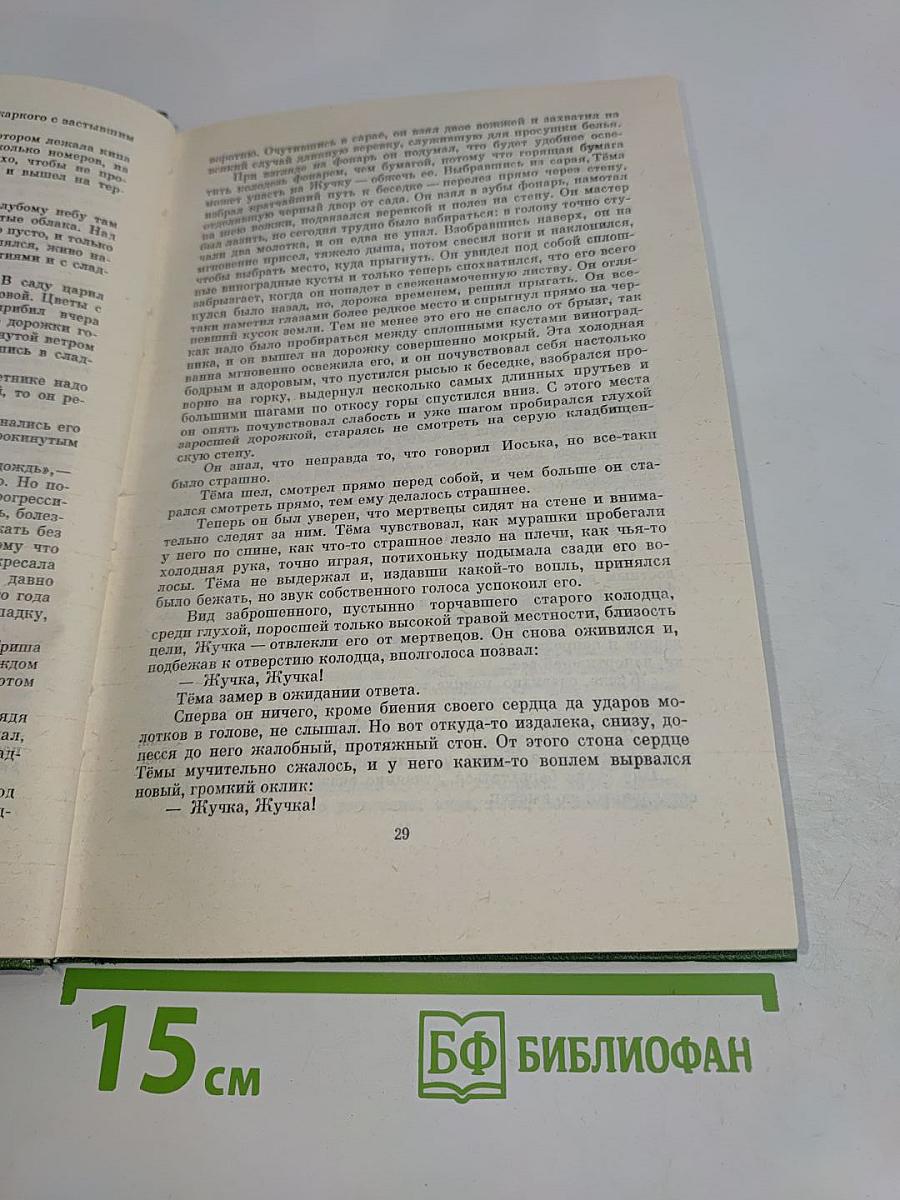 Детство. Гимназисты