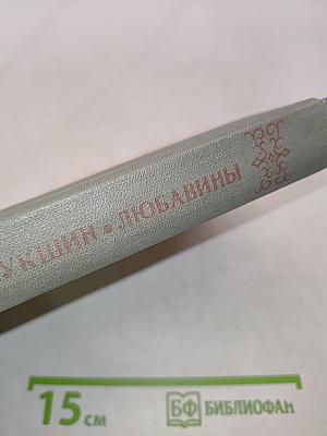 Любавины