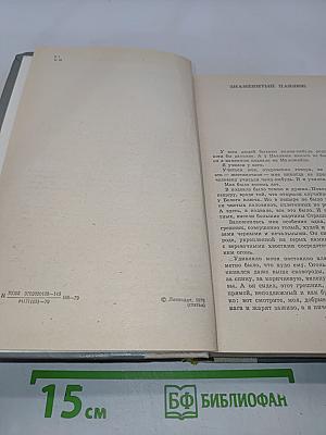Испытательный срок. Повести и рассказы