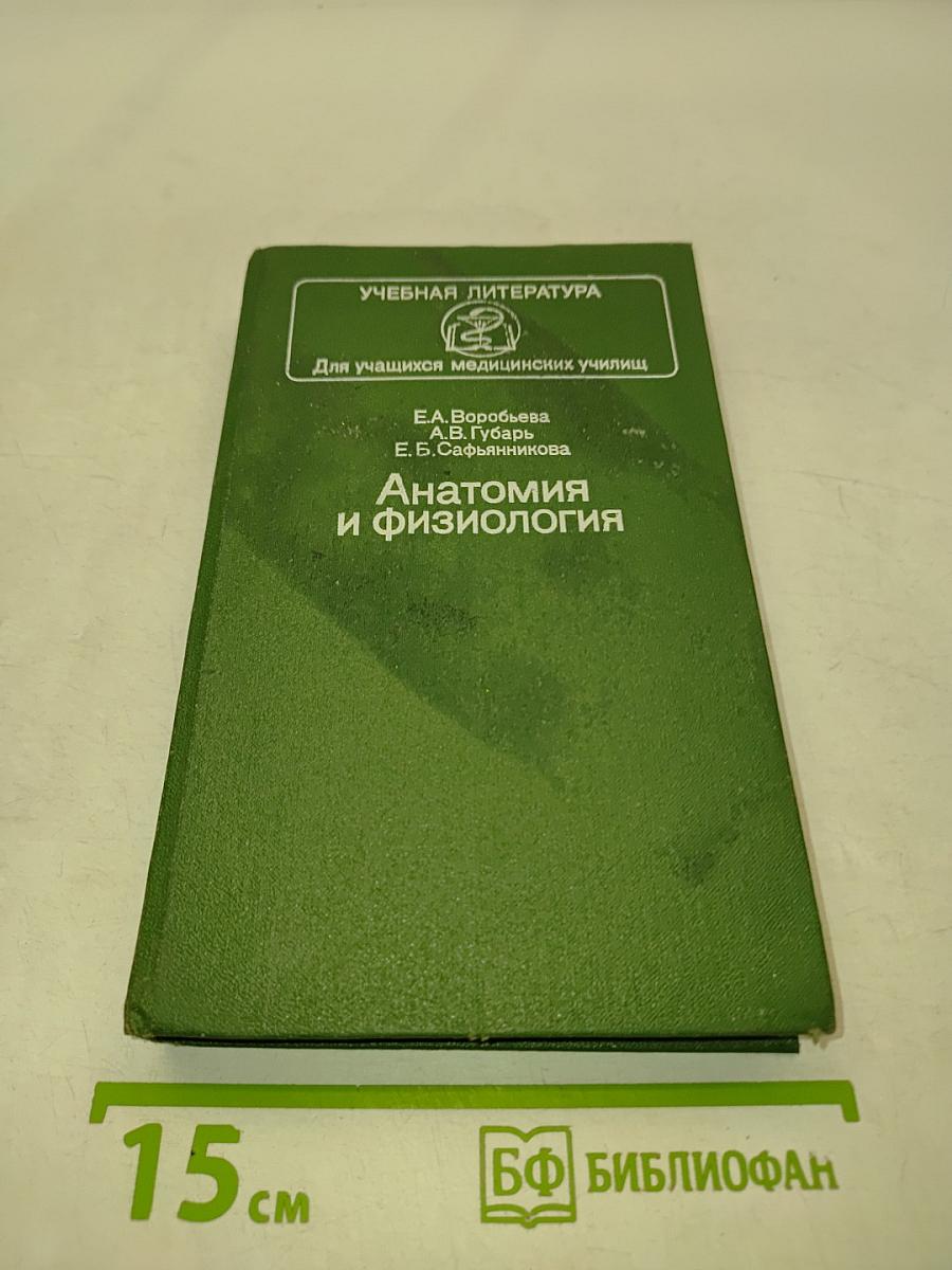 Анатомия и физиология
