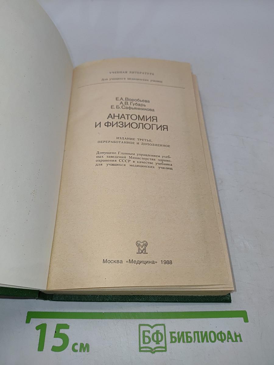 Анатомия и физиология